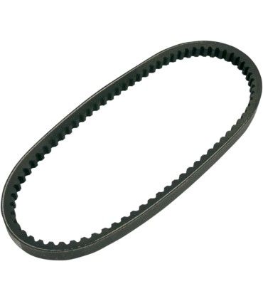BELT TRAN 20X10X800   
