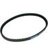 BELT TRAN 22.1X10.2X918