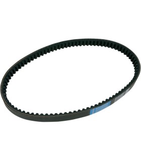BELT TRAN 22.1X10.2X918