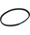 BELT TRAN 22.1X10.2X918