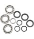 BEARING DIFFERENTIAL FRT