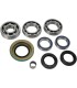 BEARING KIT DIFF RR CANAM