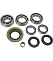 BEARING KIT DIFF RR CANAM