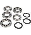 BEARING KIT DIFF FT YAM