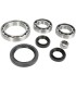 BEARING KIT DIFF RR YAM