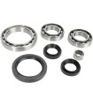 BEARING KIT DIFF RR YAM
