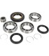 BEARING KIT DIFF RR HONDA