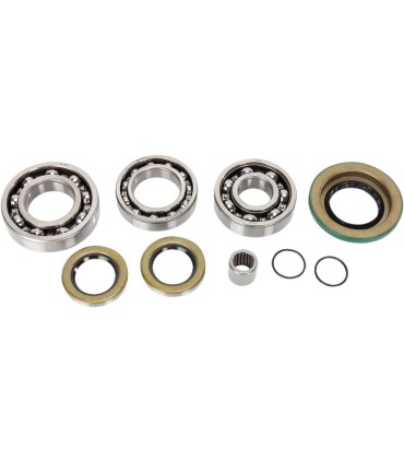 BEARING KIT DIFF RR CANAM