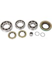 BEARING KIT DIFF RR CANAM