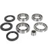 BEARING KIT DIFF RR AC