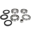 BEARING KIT DIFF RR AC