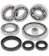BEARING KIT DIFF RR CANAM