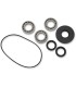 BEARING KIT DIFF FT POL