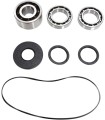 BEARING KIT DIFF FT POL