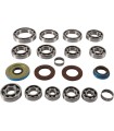 BEARING KIT TRANSAXLE RR