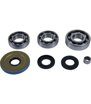 DIFFERENTIAL BEARING/SEAL KIT 