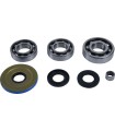 DIFFERENTIAL BEARING/SEAL KIT