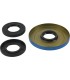 DIFFERENTIAL BEARING/SEAL KIT 