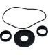 DIFFERENTIAL BEARING/SEAL KIT 