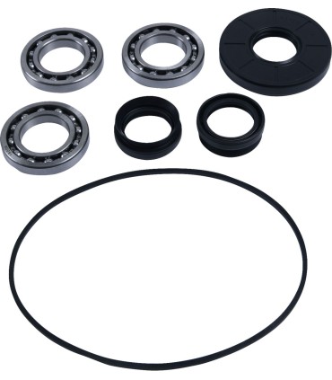 DIFFERENTIAL BEARING/SEAL KIT 