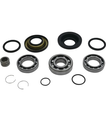 DIFFERENTIAL BEARING/SEAL KIT 