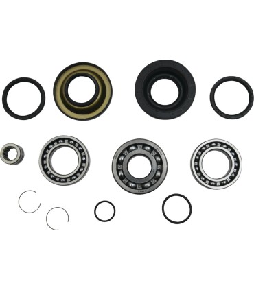 DIFFERENTIAL BEARING/SEAL KIT 
