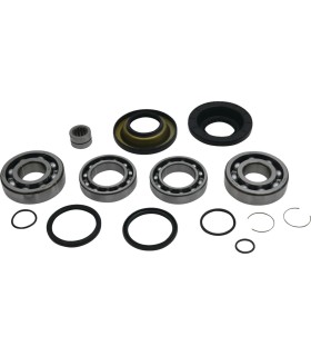 DIFFERENTIAL BEARING/SEAL KIT