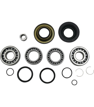 DIFFERENTIAL BEARING/SEAL KIT 