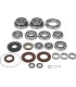 TRANSAXLE BEARING/SEAL KIT POL