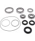 DIFFERENTIAL BEARING/SEAL KIT 