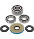 DIFFERENTIAL BEARING/SEAL KIT 