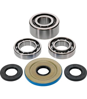 DIFFERENTIAL BEARING/SEAL KIT