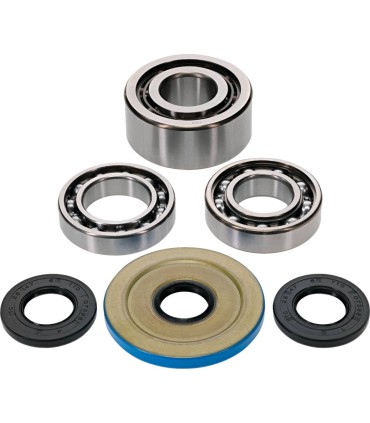 DIFFERENTIAL BEARING/SEAL KIT 