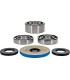 DIFFERENTIAL BEARING/SEAL KIT 
