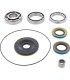 DIFFERENTIAL BEARING/SEAL KIT 