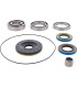 DIFFERENTIAL BEARING/SEAL KIT 