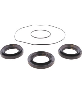 DIFFERENTIAL BEARING/SEAL KIT