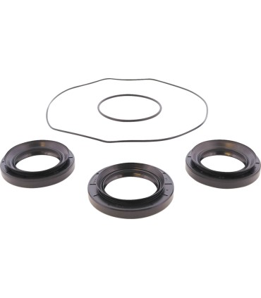 DIFFERENTIAL BEARING/SEAL KIT 
