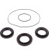 DIFFERENTIAL BEARING/SEAL KIT 