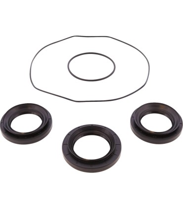 DIFFERENTIAL BEARING/SEAL KIT 