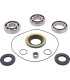 DIFFERENTIAL BEARING/SEAL KIT 