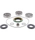 DIFFERENTIAL BEARING/SEAL KIT 