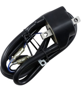 IGNITION COIL ARCTIC