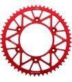 PIGNON RL 53T HON ROUGE