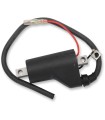 IGNITION COIL POLARIS