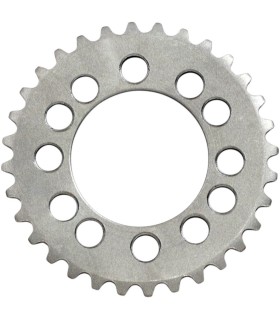 VERNIER CAM SPRKT (272)