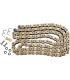 CHAIN RT520RR4SRS GB 120RH