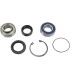 CHAINCASE BEARING-SEAL KT