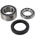 CHAINCASE BEARING-SEAL KT