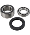 CHAINCASE BEARING-SEAL KT